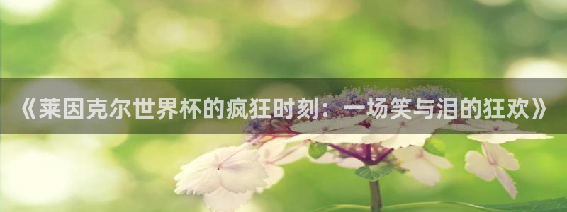 2026世界杯足球赛程时间表：《莱因克尔世界杯的疯狂时刻：一场笑与泪的狂欢》
