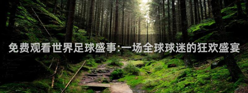 亚洲区世界杯预选赛：免费观看世界足球盛事:一场全球球迷的狂欢盛宴