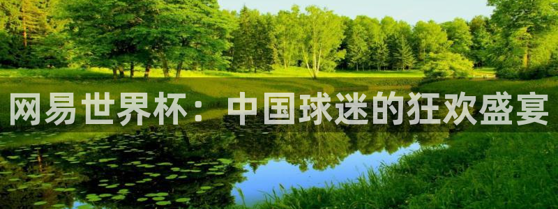 世界杯足球2026：网易世界杯：中国球迷的狂欢盛宴