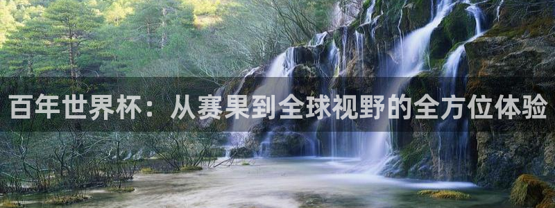 世界杯在线直播：百年世界杯：从赛果到全球视野的全方位体验