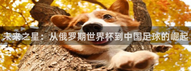 世界杯预选赛亚洲：未来之星：从俄罗期世界杯到中国足球的崛起