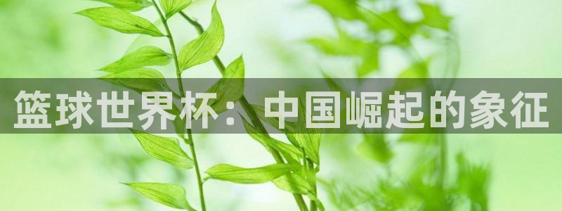 世界杯球队：篮球世界杯：中国崛起的象征