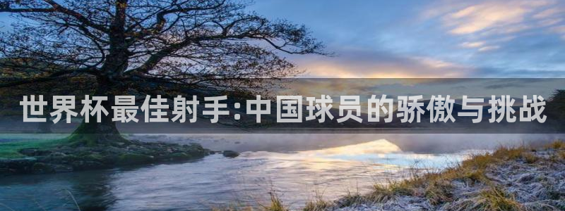 世界杯亚洲区预选赛：世界杯最佳射手:中国球员的骄傲与挑战