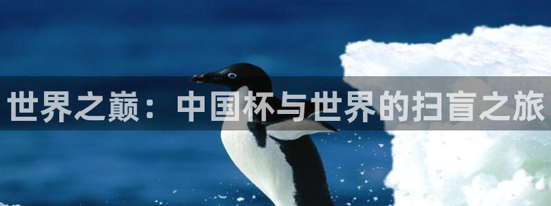 世界杯葡萄牙赛程：世界之巅：中国杯与世界的扫盲之旅