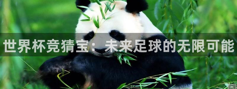 世界杯欧洲预选赛赛程：世界杯竞猜宝：未来足球的无限可能
