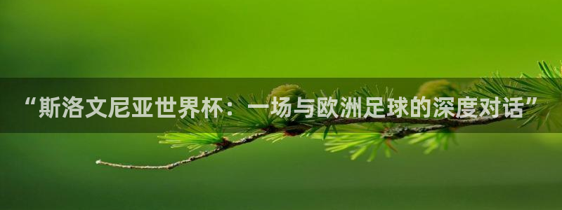 世界杯赛程表2026：“斯洛文尼亚世界杯：一场与欧洲足球的深度对话”