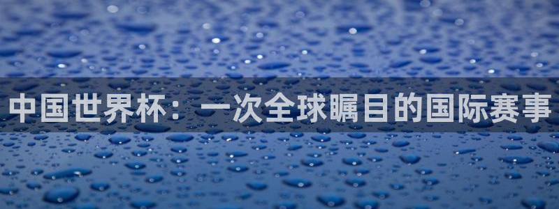 2026世界杯南美区积分榜：中国世界杯：一次全球瞩目的国际赛事