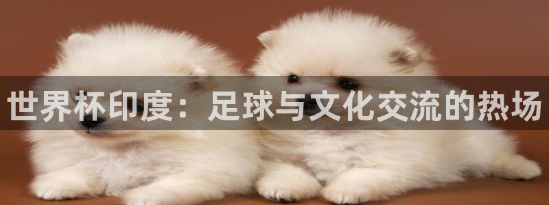 世界杯预选赛欧洲赛区积分榜：世界杯印度：足球与文化交流的热场
