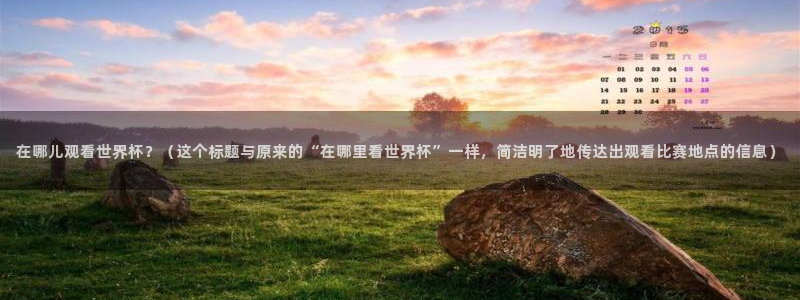 2006年世界杯冠军：在哪儿观看世界杯？（这个标题与原来的“在哪里看世界杯”一样，简洁明了地传达出观看比赛地点的信息）